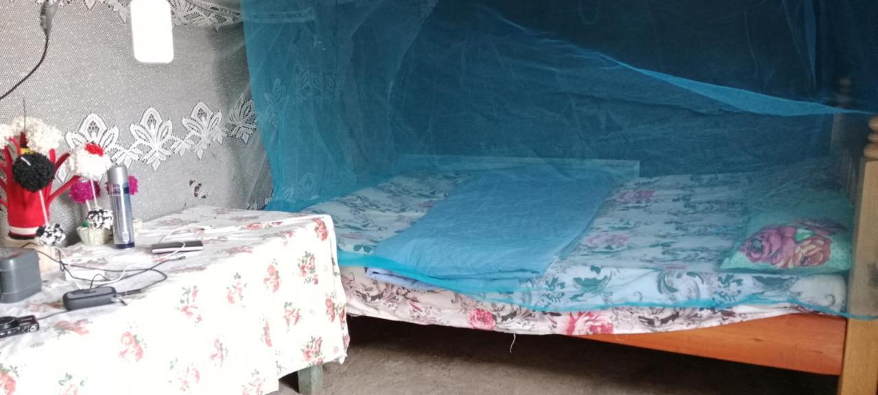 Maasai Homestay Camping Sekenani Kültér fotó