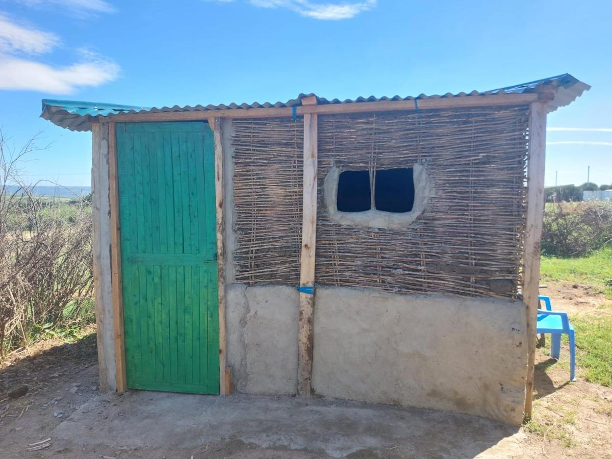 Maasai Homestay Camping Sekenani Kültér fotó
