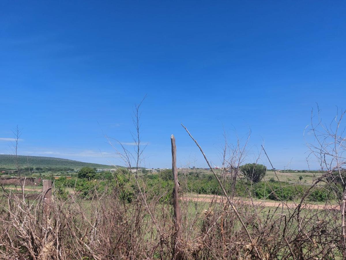 Maasai Homestay Camping Sekenani Kültér fotó