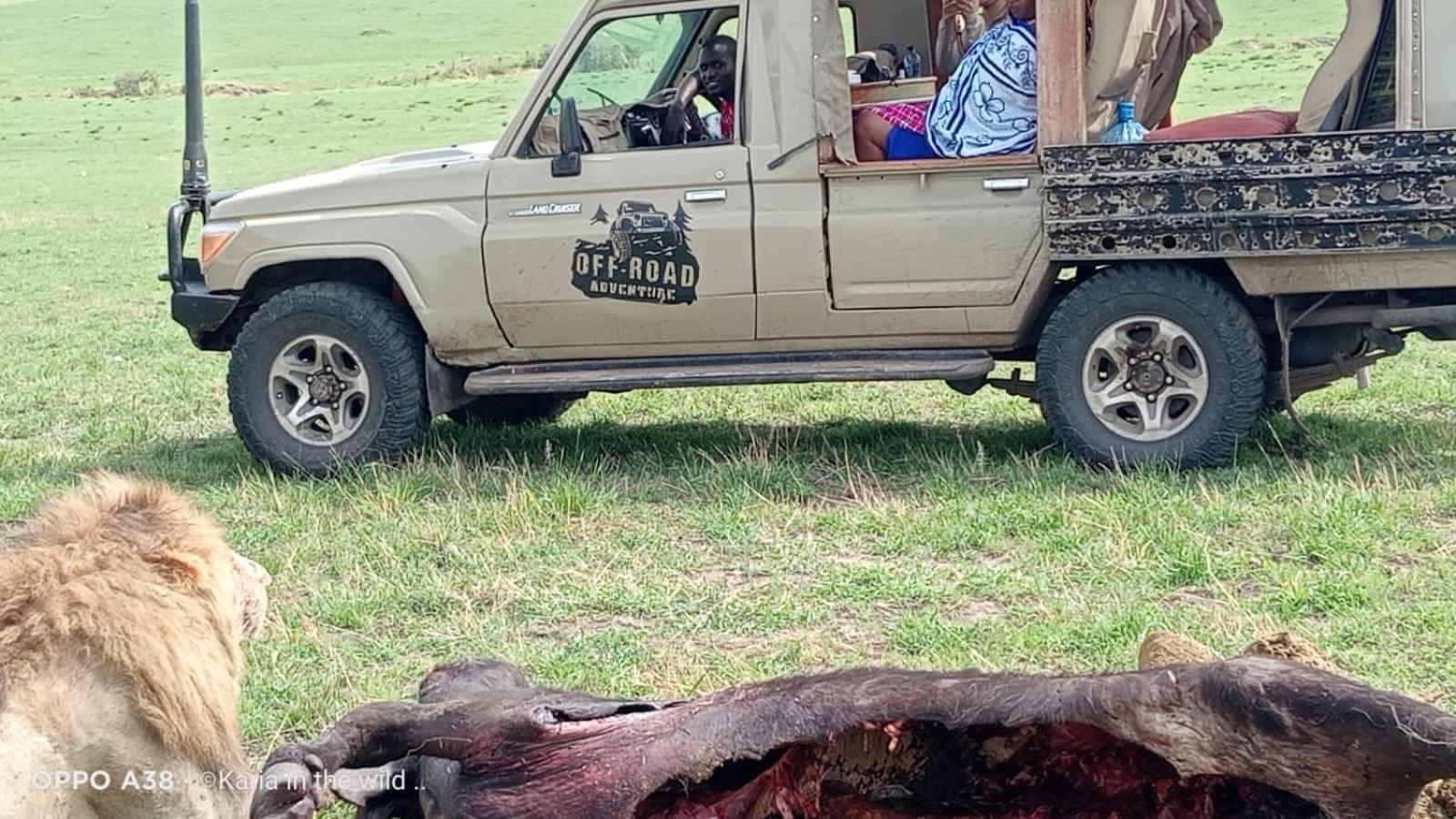 Maasai Homestay Camping Sekenani Kültér fotó