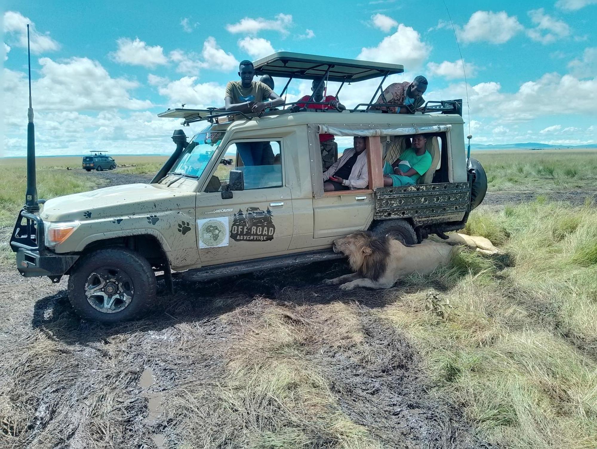 Maasai Homestay Camping Sekenani Kültér fotó
